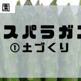 アスパラガス家庭菜園〜①土づくり〜